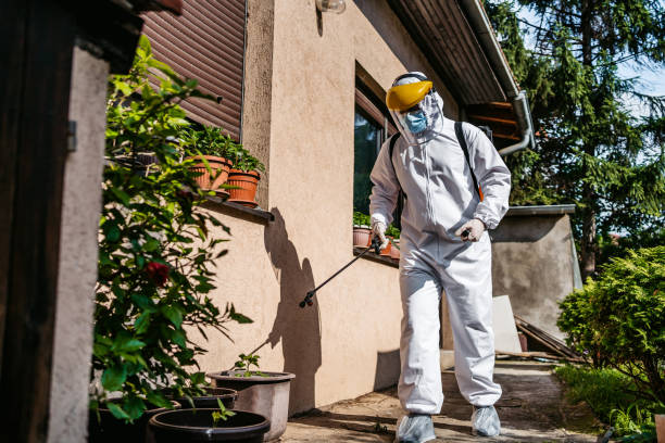 Best Termite Control Services  in Champion Heights, OH