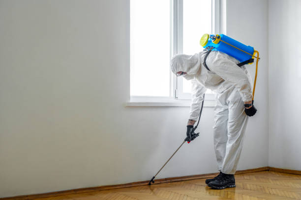 Best Affordable Pest Control Services  in Champion Heights, OH