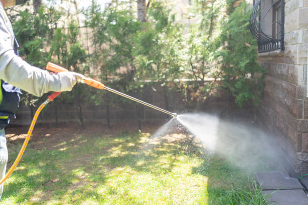 Best Local Pest Control Services  in Champion Heights, OH