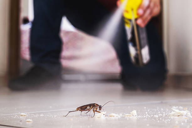 Best Emergency Pest Control  in Champion Heights, OH