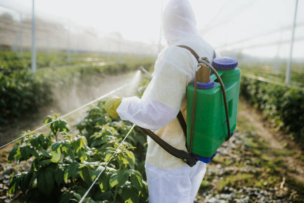 Best Wildlife Control Services  in Champion Heights, OH